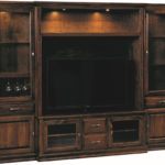 Denali Entertainment Center