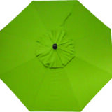 Market Series Umbrella with Kiwi