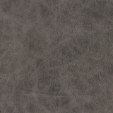 Carolina Dining Chair with Gray
