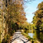 Education and Inspiration in Shipshewana this Summer